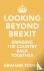 Looking Beyond Brexit - Bri...