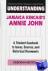 Understanding Jamaica Kinca...