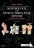 Kinesiology of the Musculos...