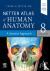 Netter Atlas of Human Anato...