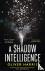A Shadow Intelligence - an ...