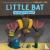 Little Bat in Night School