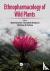 Ethnopharmacology of Wild P...