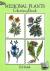 Medicinal Plants Coloring Book