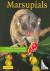  - Marsupials