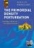 The Primordial Density Pert...