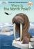 Where Is the North Pole?