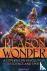 Reason and Wonder - A Coper...