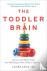 The Toddler Brain - Nurture...