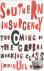 Southern Insurgency - The C...