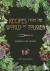 Recipes from the World of T...