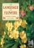 The Language of Flowers - A...