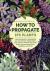 How to Propagate 375 Plants...