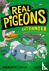 Real Pigeons Eat Danger