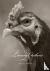 ,Beth Moon - Literary Chickens