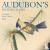 Audubon’s Watercolors 2024 ...