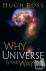 Why the Universe Is the Way...