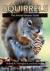 Squirrels - The Animal Answ...