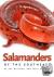 Salamanders of the Southeast