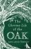 The Glorious Life of the Oak
