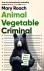 Animal Vegetable Criminal -...