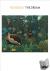 Rousseau: The Dream - The D...