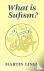 Lings, Martin - What is Sufism?