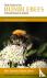 Field Guide to the Bumblebe...
