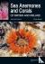 Sea Anemones and Corals of ...