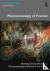 Phenomenology of Practice -...