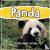 Panda - Children's Animal F...