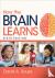 How the Brain Learns
