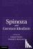  - Spinoza and German Idealism