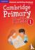 Cambridge Primary Path Leve...
