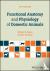 Functional Anatomy and Phys...
