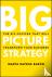 Big Picture Strategy - The ...