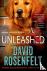 Unleashed - An Andy Carpent...