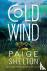 Cold Wind: A Mystery
