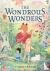 The Wondrous Wonders