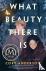 What Beauty There Is - A Novel