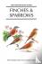 Finches and Sparrows