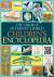 The Usborne Children's Ency...