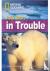 Polar Bears in Trouble - Fo...