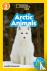 Arctic Animals - Level 2