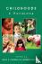  - Childhoods - A Handbook