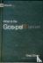 What Is the Gospel?