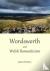 Wordsworth and Welsh Romant...