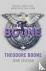 Theodore Boone - Theodore B...