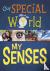 My Senses - My Senses