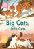 Reading Champion: Big Cats,...
